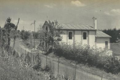 tenuta della pisana